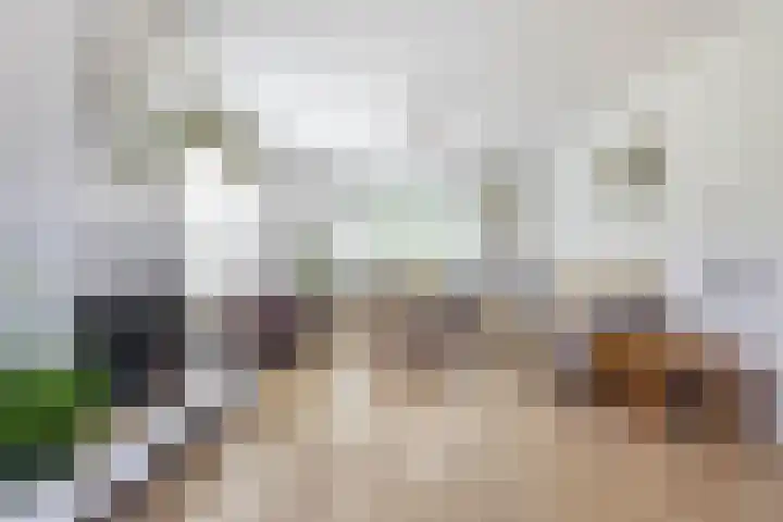 Nico Rostlaan 3 Groningen thumbnail 16