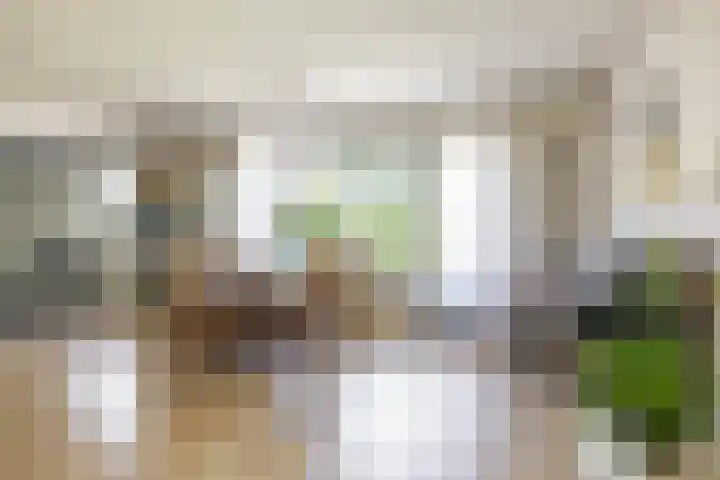 Nico Rostlaan 3 Groningen thumbnail 19