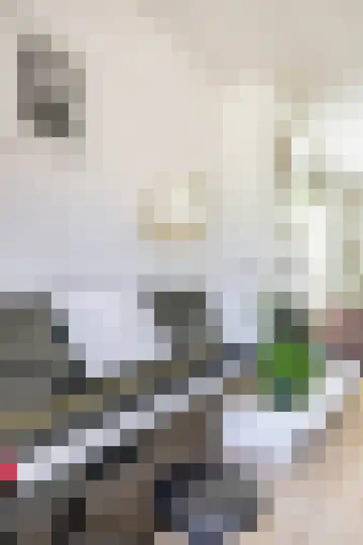 Nico Rostlaan 3 Groningen thumbnail 20