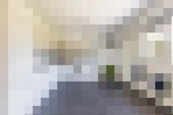Nico Rostlaan 3 Groningen thumbnail 21