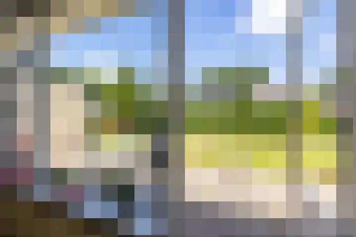 Nico Rostlaan 3 Groningen thumbnail 28