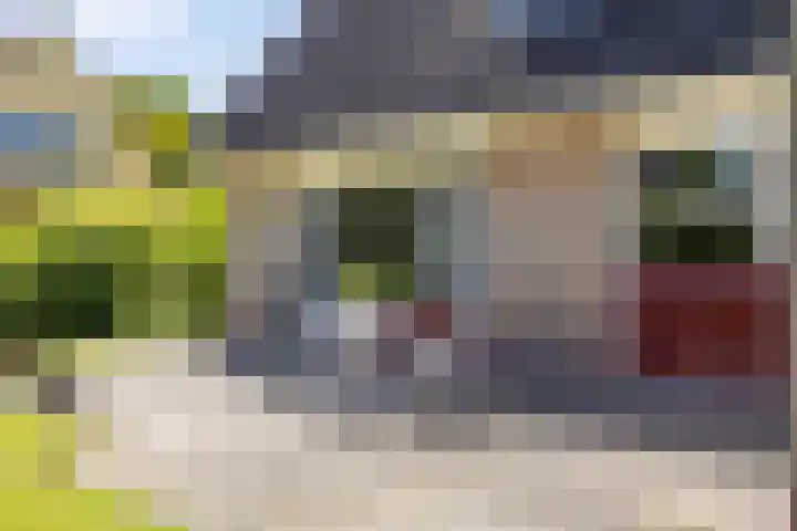 Nico Rostlaan 3 Groningen thumbnail 29
