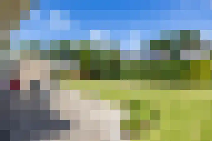 Nico Rostlaan 3 Groningen thumbnail 31