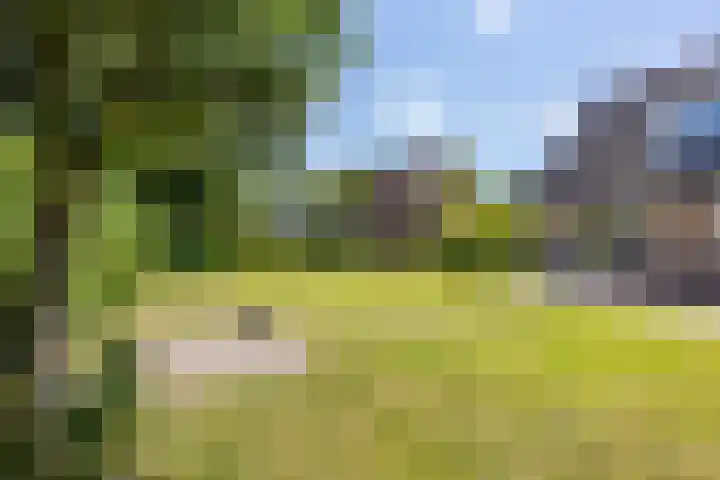 Nico Rostlaan 3 Groningen thumbnail 32