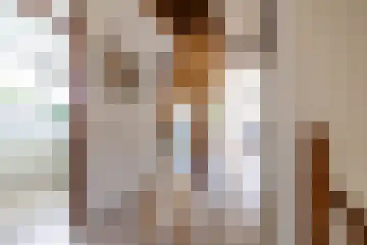 Nico Rostlaan 3 Groningen thumbnail 43