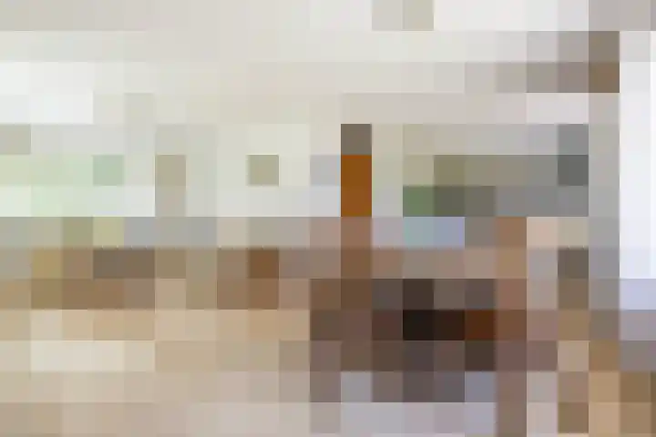 Nico Rostlaan 3 Groningen thumbnail 5