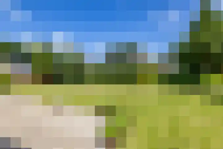 Nico Rostlaan 3 Groningen thumbnail 50
