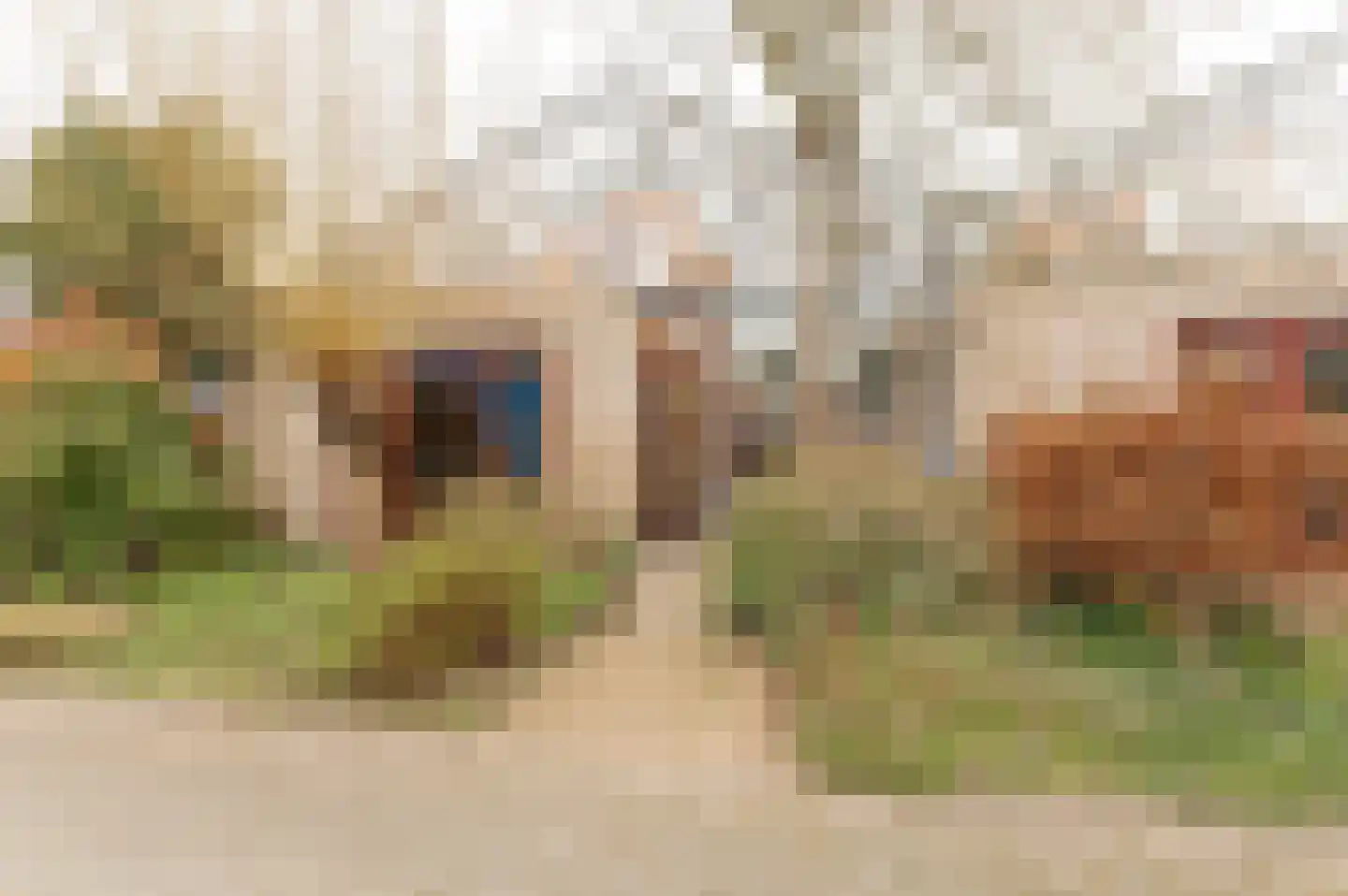 Nico Scheepmakerpad 6 Culemborg