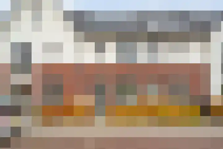 Photo de Nicole Versluis