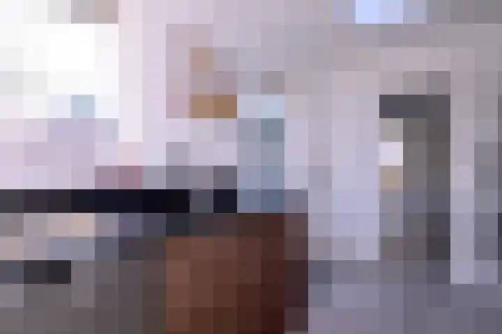 Nieënhof 57 Heeten thumbnail 10