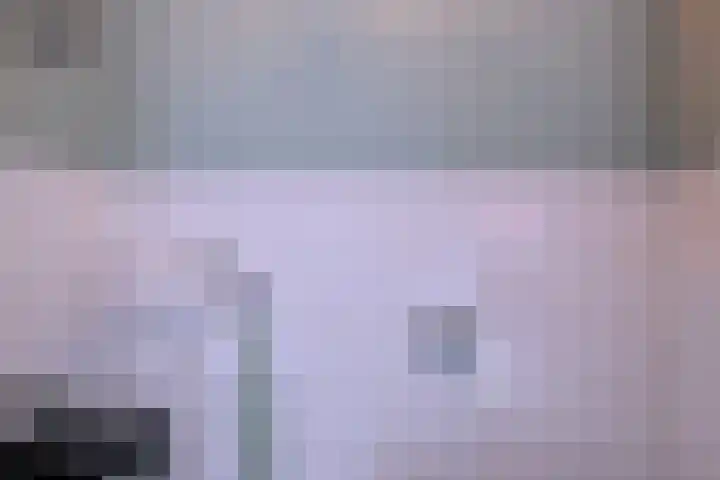 Nieënhof 57 Heeten thumbnail 12