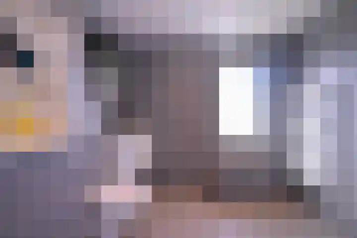 Nieënhof 57 Heeten thumbnail 21
