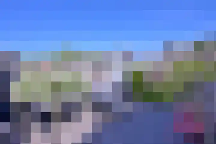 Nieënhof 57 Heeten thumbnail 29