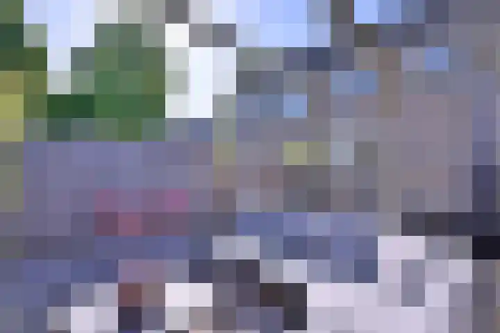 Nieënhof 57 Heeten thumbnail 34