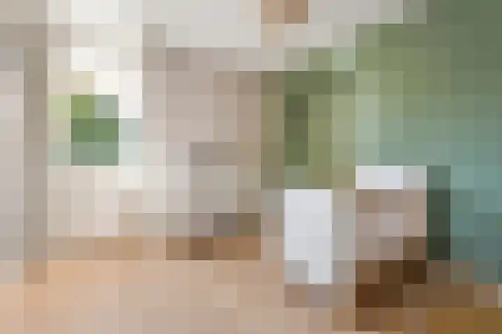 Nieënhof 64 Heeten thumbnail 34
