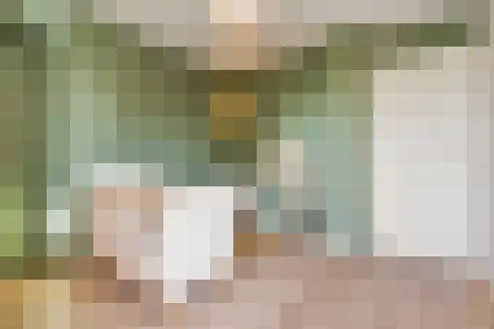 Nieënhof 64 Heeten thumbnail 35