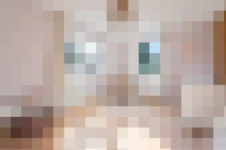 Nieënhof 64 Heeten thumbnail 36
