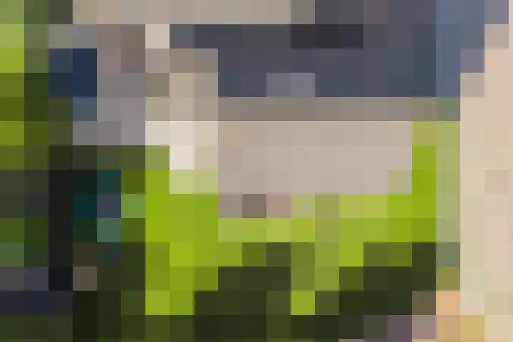 Nieënhof 64 Heeten thumbnail 4