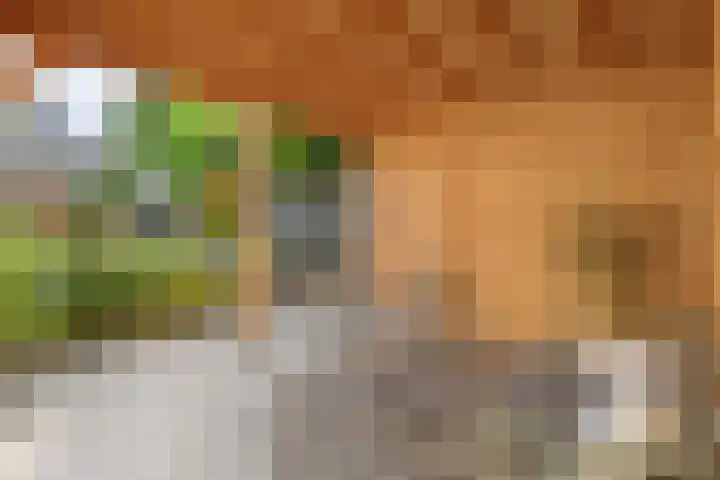 Nieënhof 64 Heeten thumbnail 45