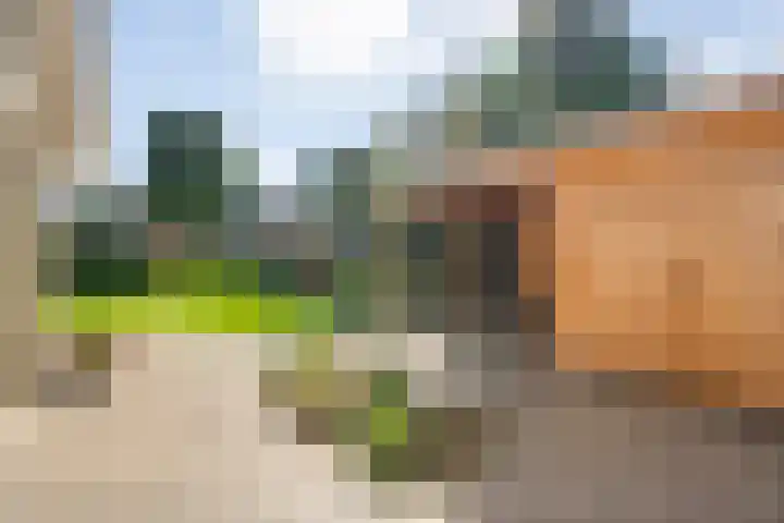 Nieënhof 64 Heeten thumbnail 46