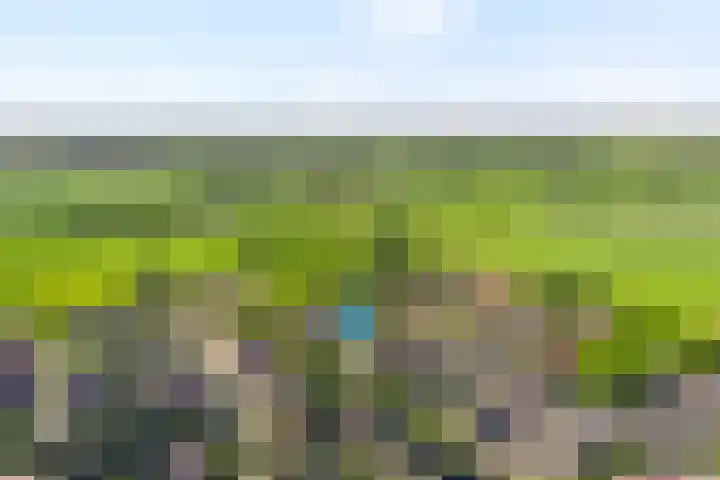 Nieënhof 64 Heeten thumbnail 5