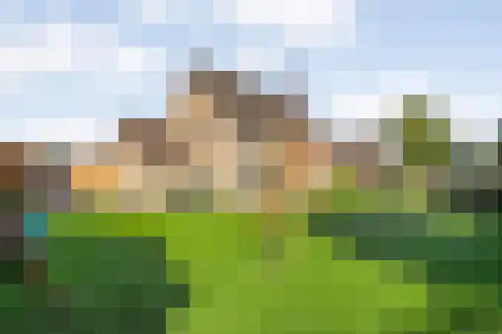 Nieënhof 64 Heeten thumbnail 50
