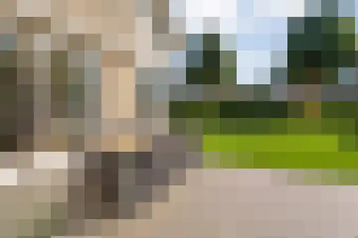 Nieënhof 64 Heeten thumbnail 52