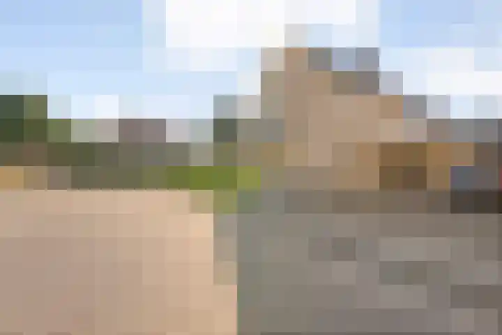 Nieënhof 64 Heeten thumbnail 6