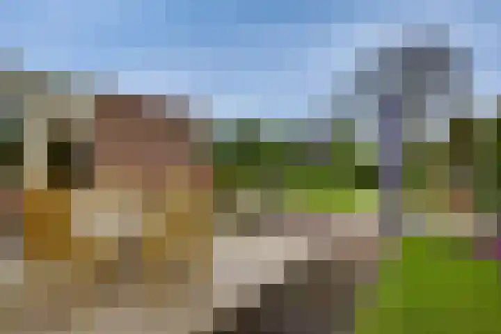 Nieënhof 90 Heeten thumbnail 10