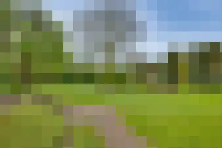 Nieënhof 90 Heeten thumbnail 11