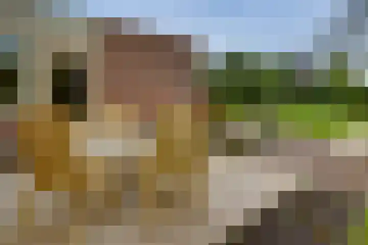 Nieënhof 90 Heeten thumbnail 15