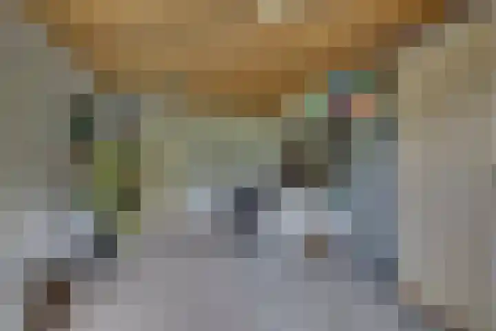 Nieënhof 90 Heeten thumbnail 17
