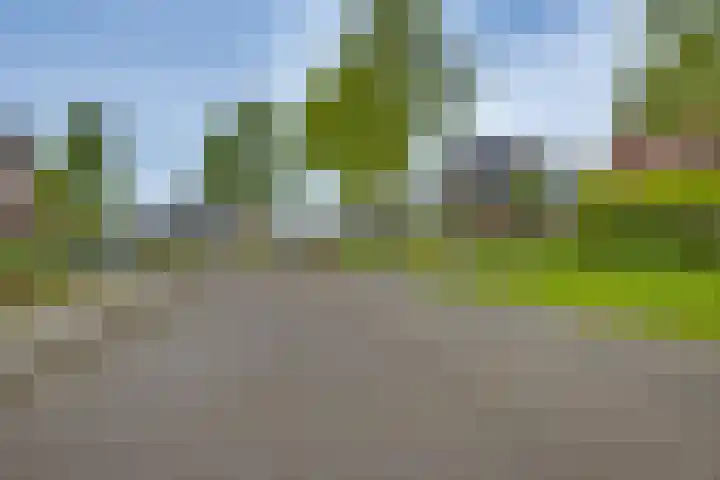 Nieënhof 90 Heeten thumbnail 29