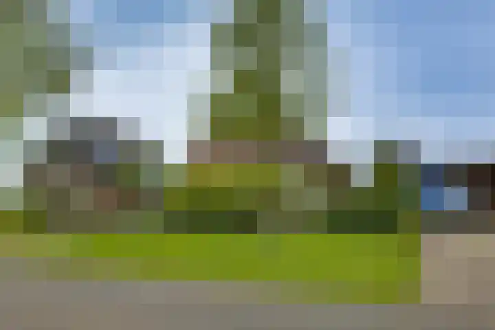 Nieënhof 90 Heeten thumbnail 30