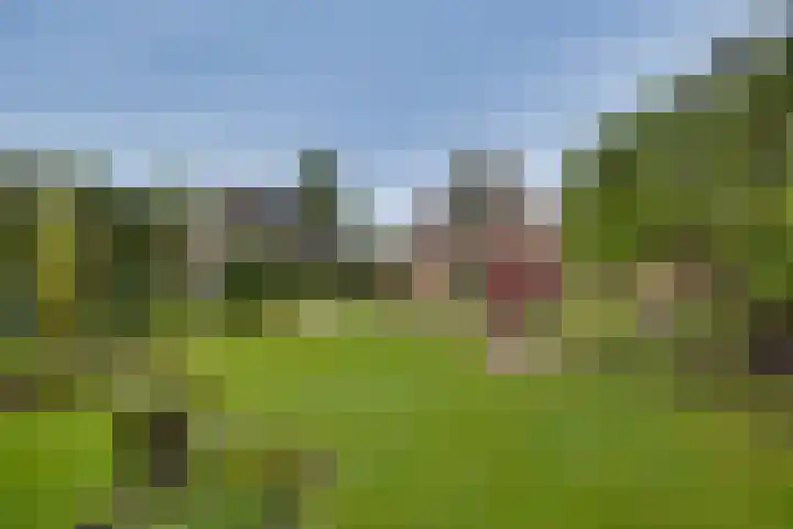 Nieënhof 90 Heeten thumbnail 4