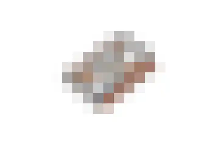 Nieënhof 90 Heeten thumbnail 44