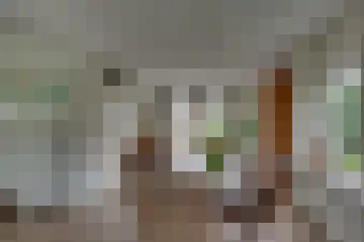 Nieënhof 90 Heeten thumbnail 7