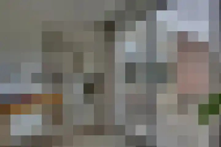 Nieënhof 90 Heeten thumbnail 9