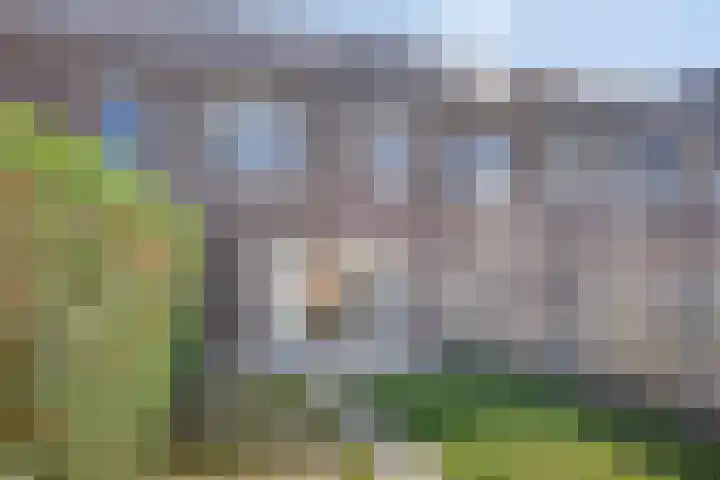 Niellerveld 31 Roermond thumbnail 24