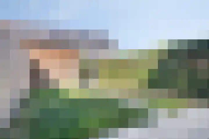 Niellerveld 31 Roermond thumbnail 28