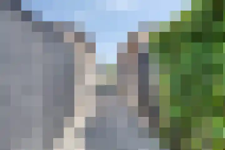 Niellerveld 31 Roermond thumbnail 32