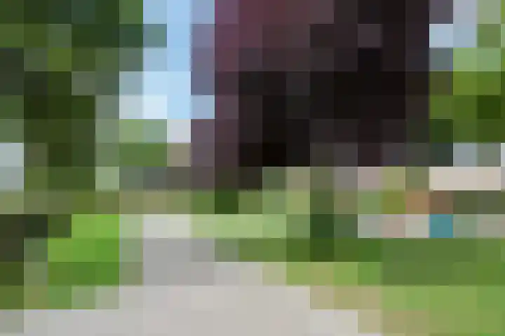 Niellerveld 31 Roermond thumbnail 36