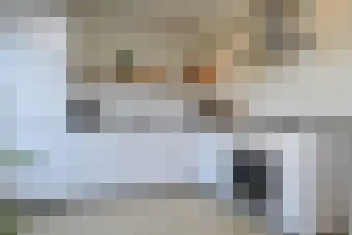 Niers 11 Deurne thumbnail 4
