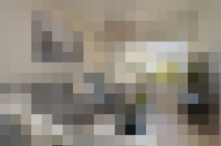 Niers 11 Deurne thumbnail 5