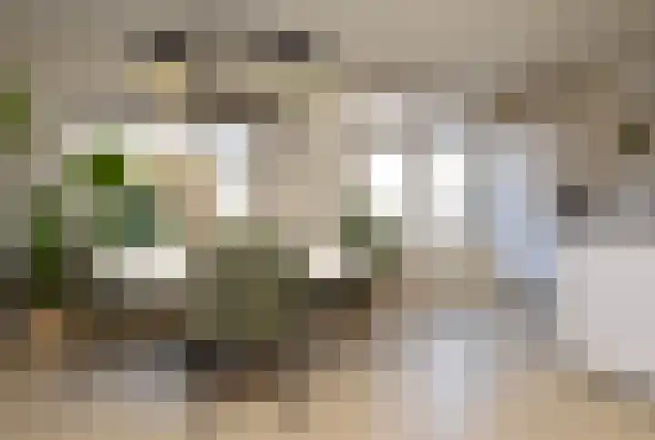 Niers 11 Deurne thumbnail 8