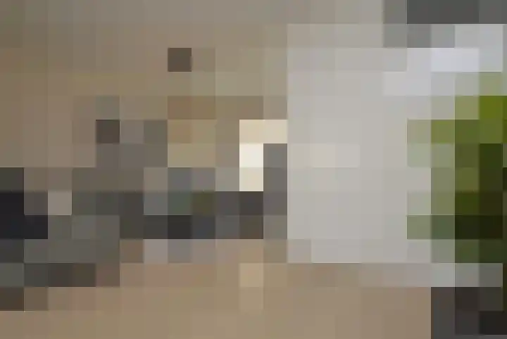 Niers 11 Deurne thumbnail 9