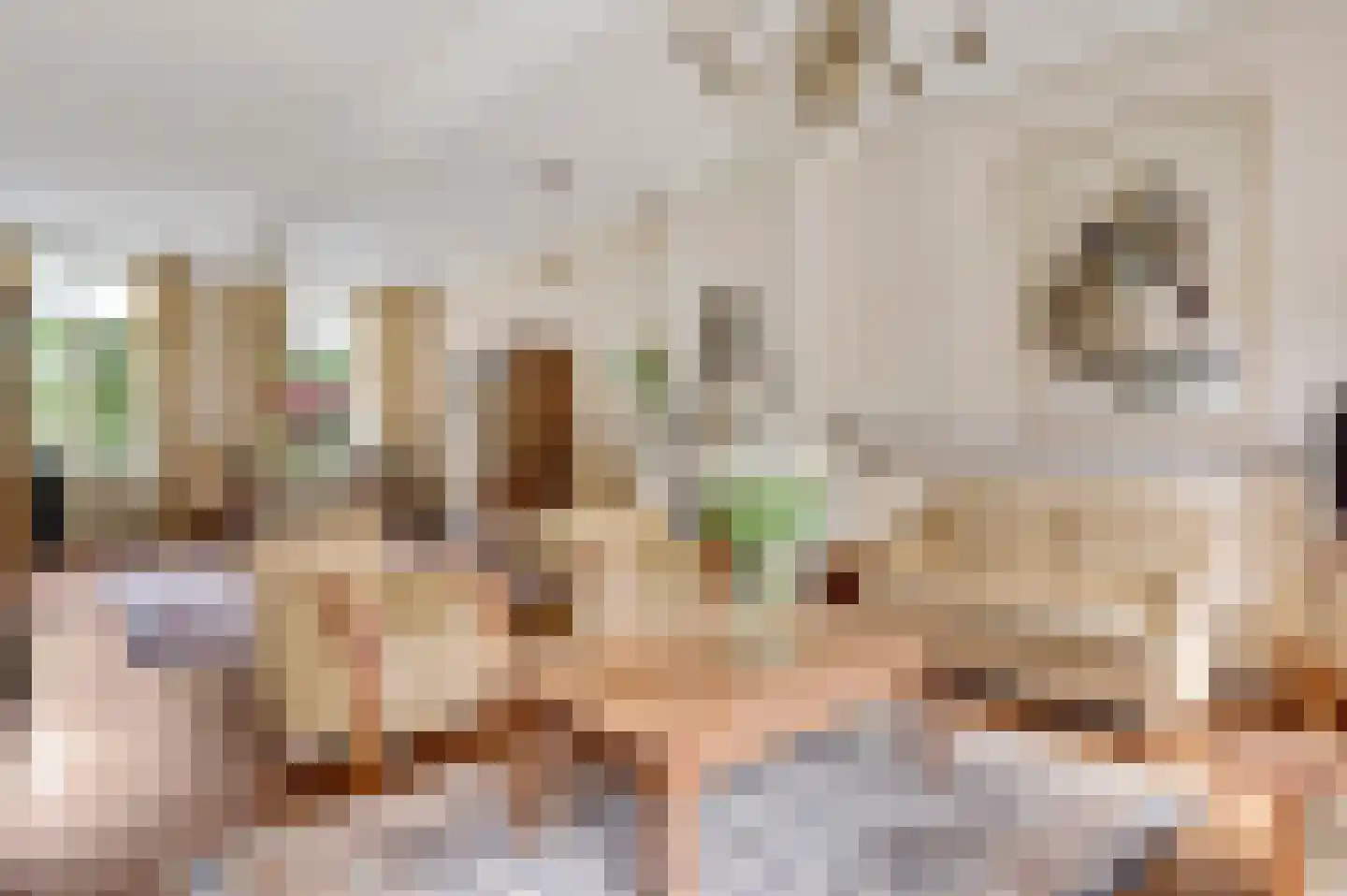 Niesstraat 3 Ell thumbnail 13