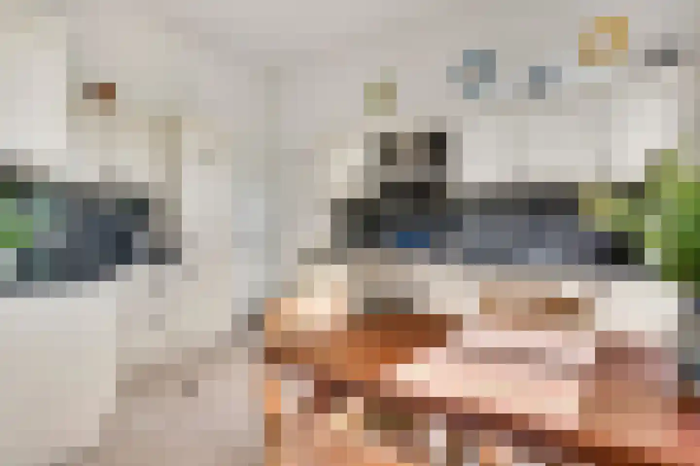 Niesstraat 3 Ell thumbnail 26