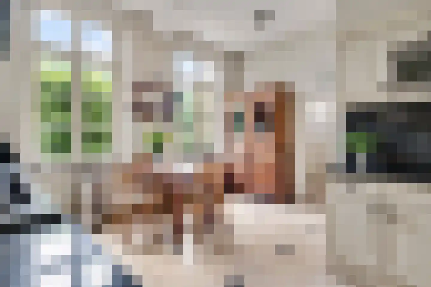 Niesstraat 3 Ell thumbnail 27