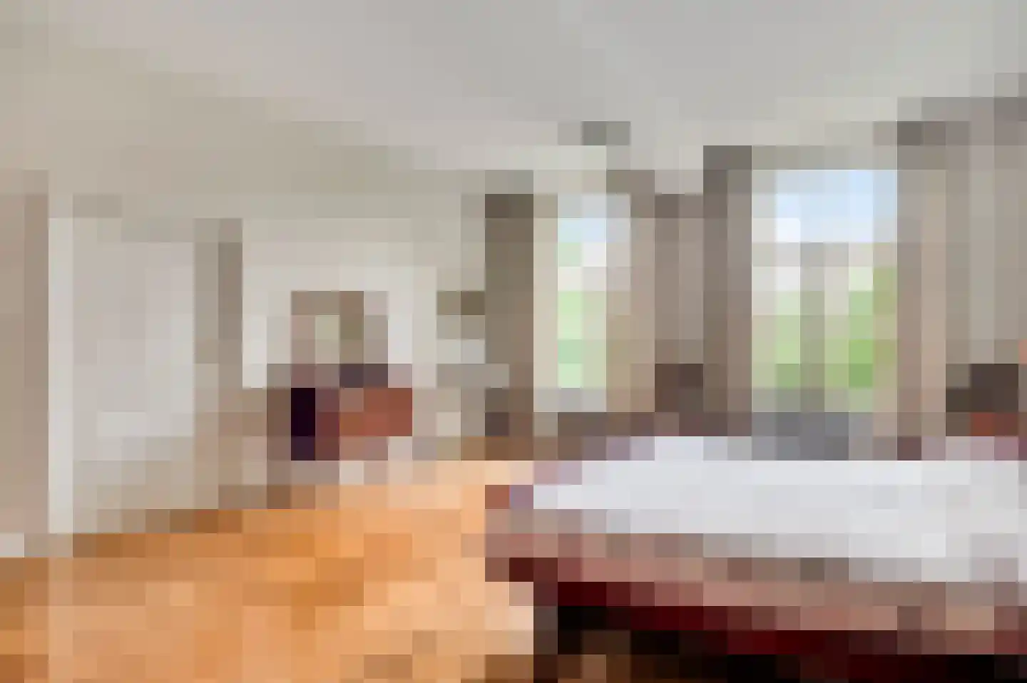 Niesstraat 3 Ell thumbnail 32